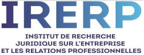 logo irerp