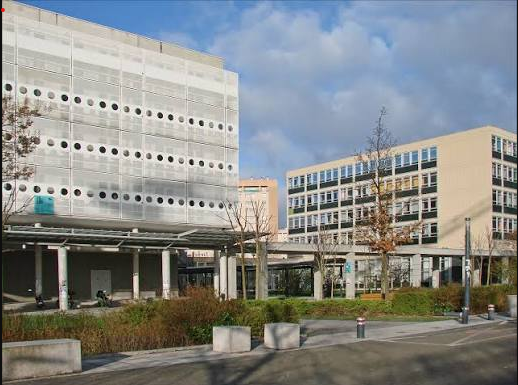 Rentrée des licences