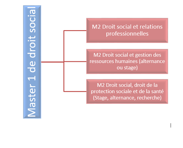 UFR Droit et Science Politique  Master Droit Social